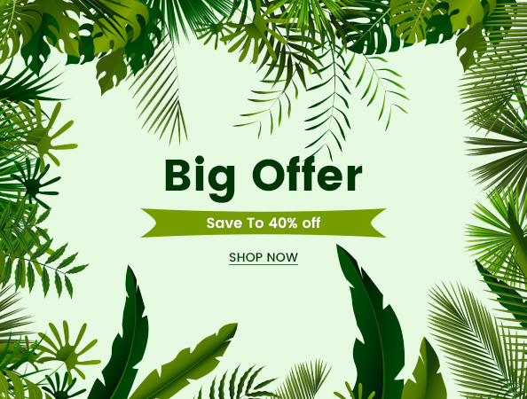 images/homepage/3001-templateimg-big-offer-card.png